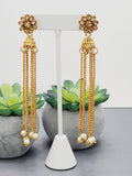 "Dazzling Droplets: Beaded Long Earrings Set Ensemble"
