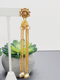 "Dazzling Droplets: Beaded Long Earrings Set Ensemble"
