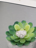 "Silver Splendor: An Exquisite Elegance Ring"