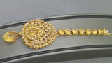 Absolutely Beautiful Indian Bollywood Rani Har Necklace Set