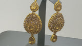 Absolutely Beautiful Indian Bollywood Rani Har Necklace Set