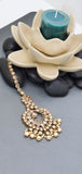 Absolutely Stunning Indian Bollywood Weddings Choker  Necklace Jewellery Set