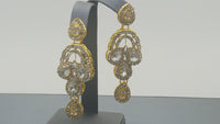 Elegant Indian Bollywood Jewellery Rani Har Necklace Set.