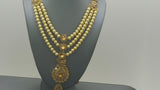Absolutely Beautiful Indian Bollywood Rani Har Necklace Set